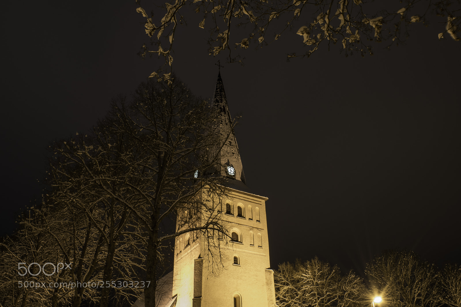 Nikon D5300 sample photo. Winter o photography