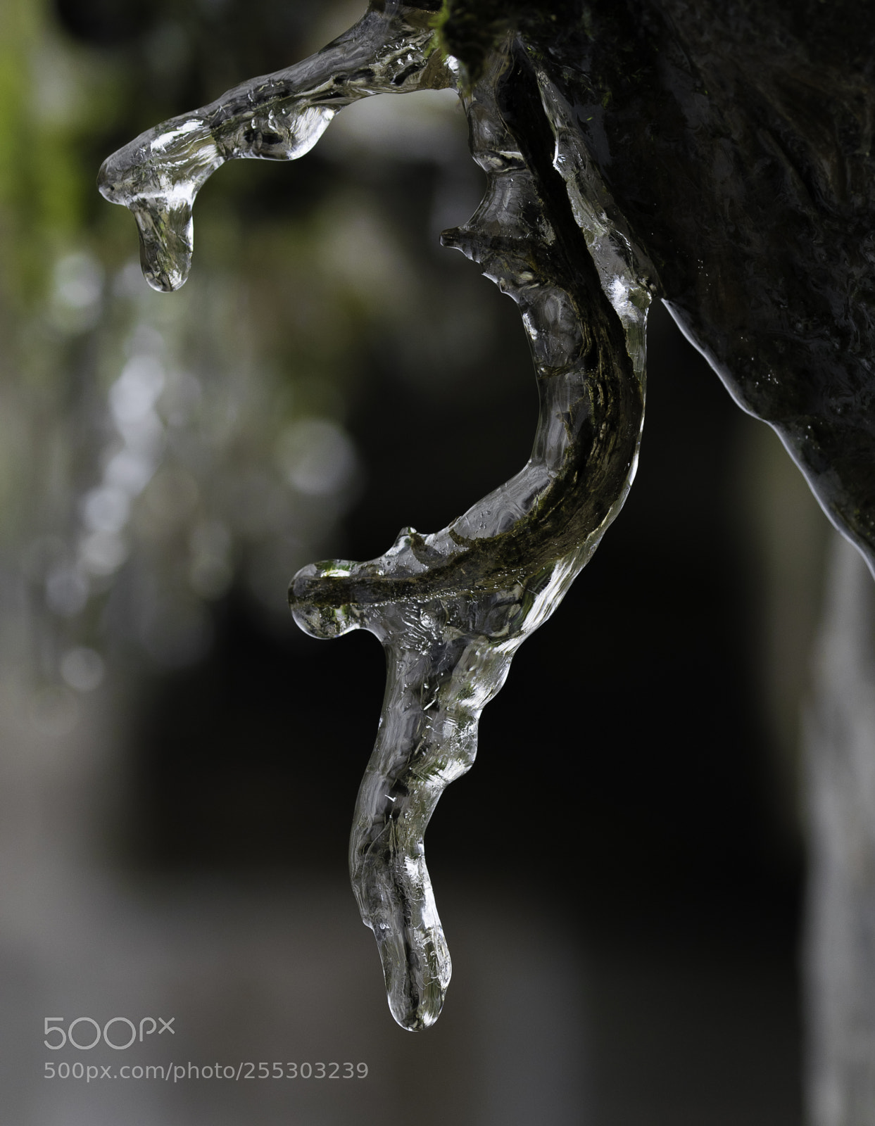 Nikon D5300 sample photo. Winter o photography