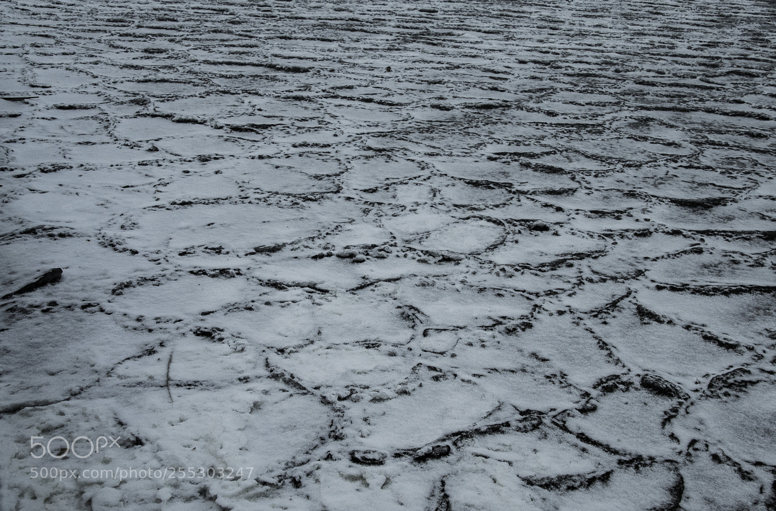 Nikon D5300 sample photo. Winter o photography