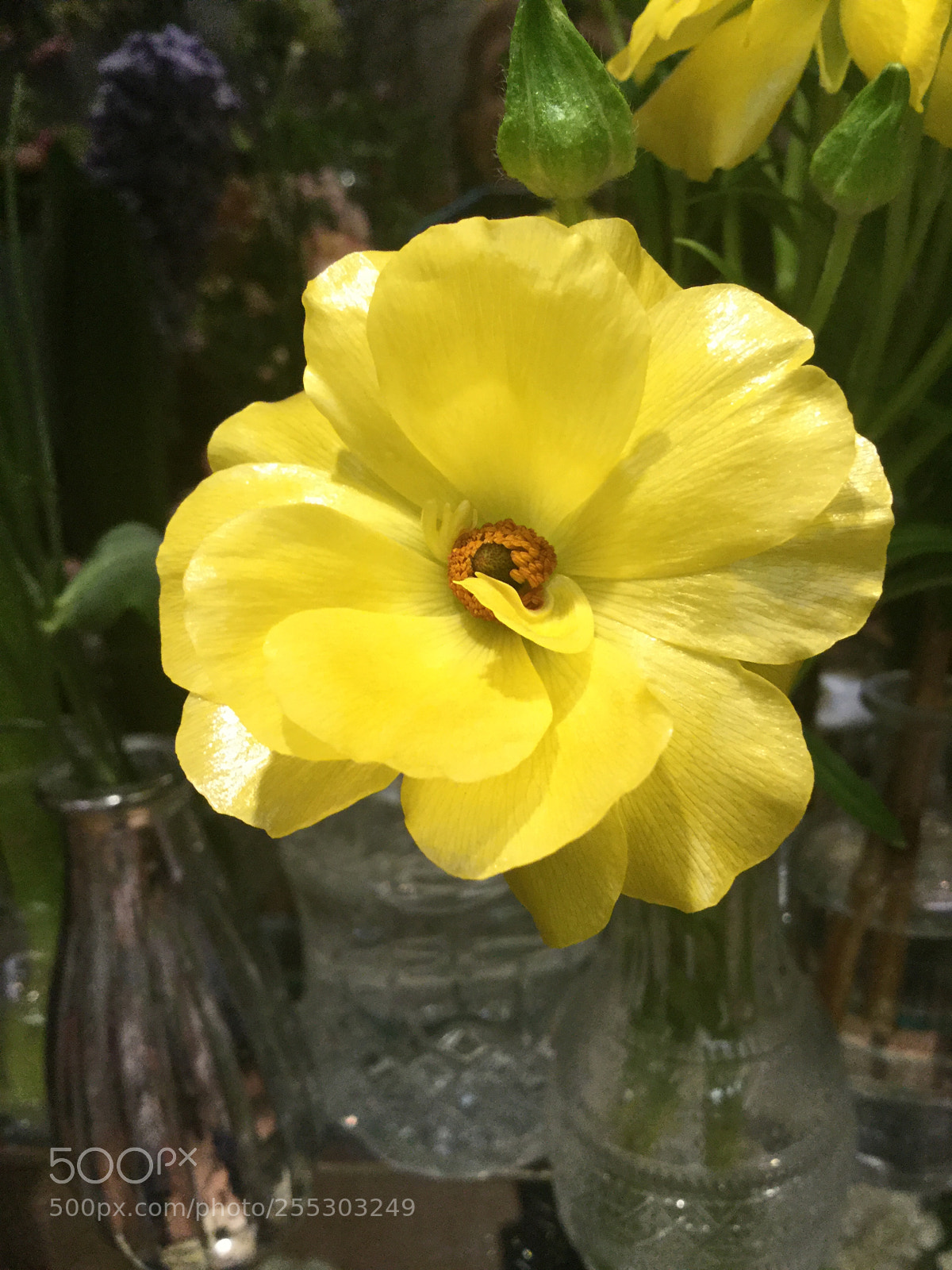 Apple iPod touch sample photo. Yellow beauty photography