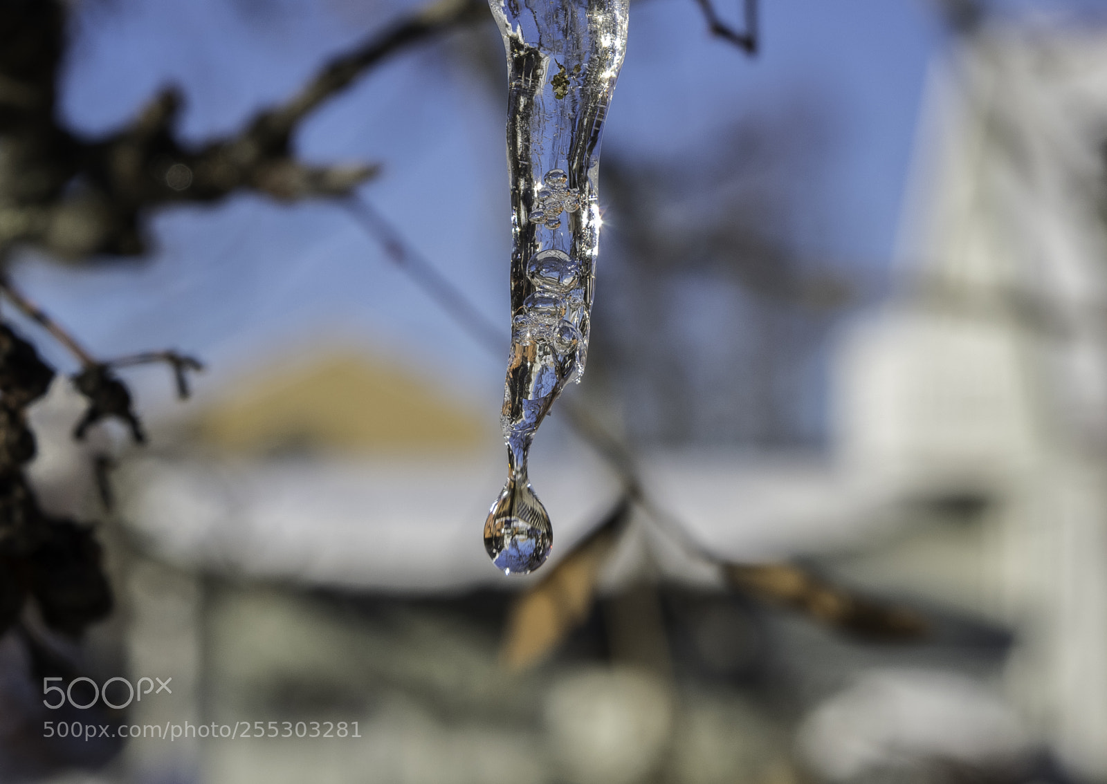 Nikon D5300 sample photo. Winter o photography