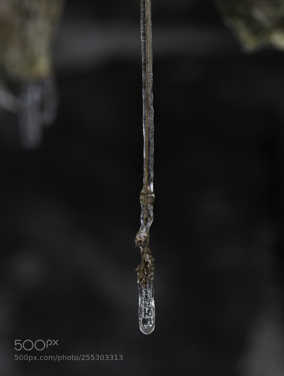 Nikon D5300 sample photo. Winter o photography