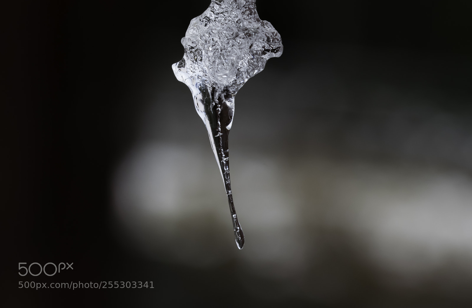 Nikon D5300 sample photo. Winter o photography