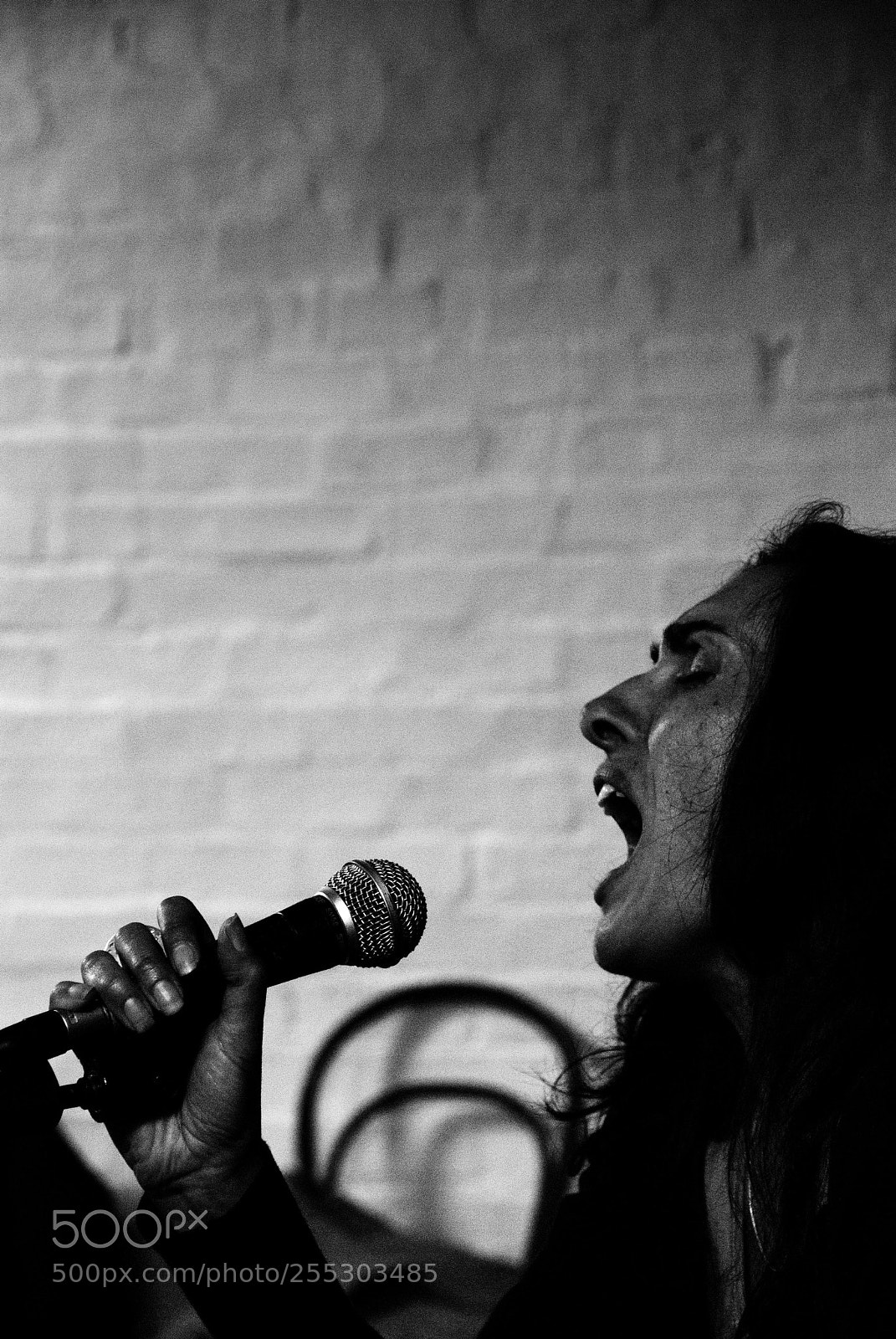 Nikon D60 sample photo. Singer photography