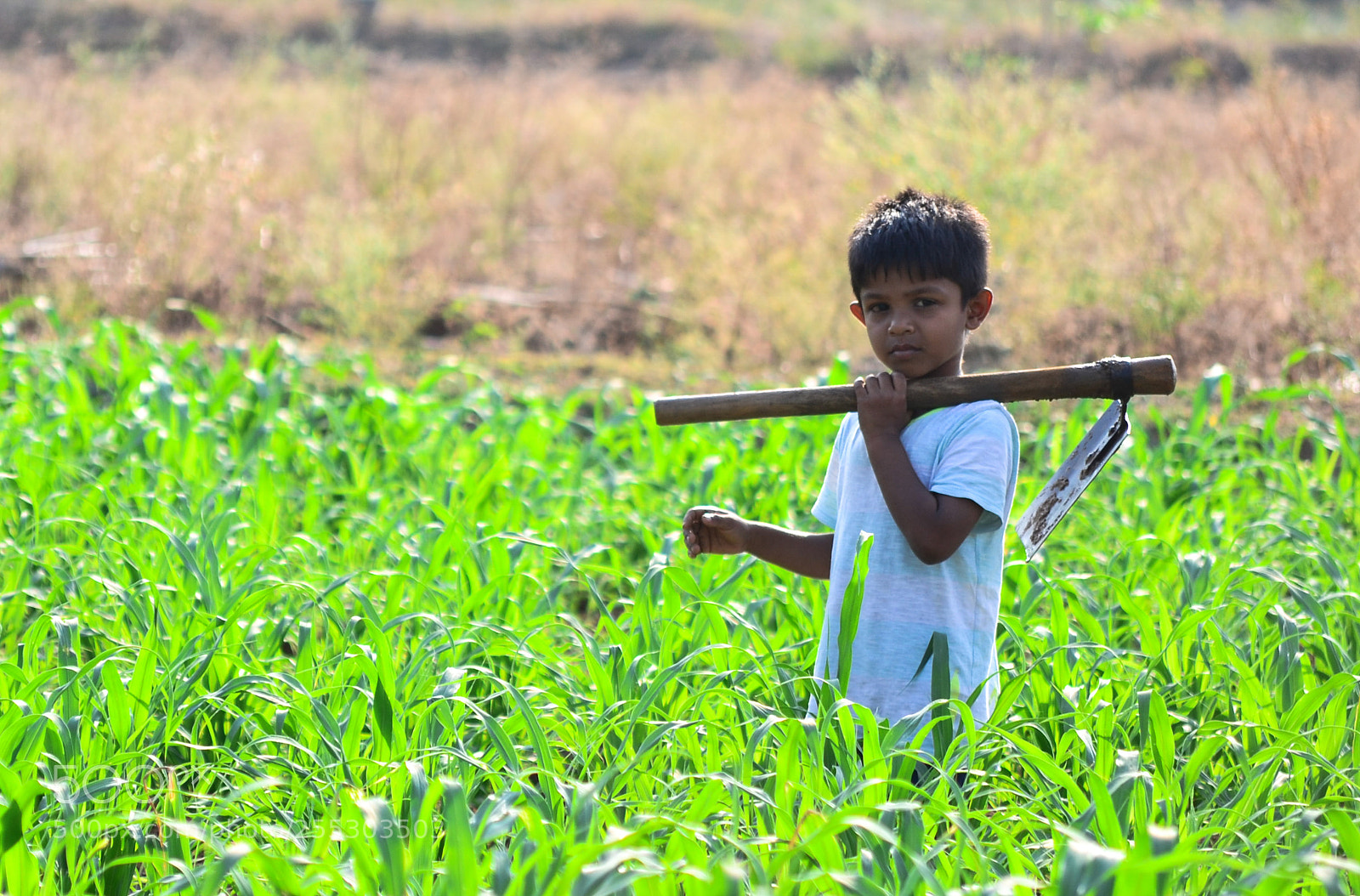 Nikon D3100 sample photo. Future farmer photography