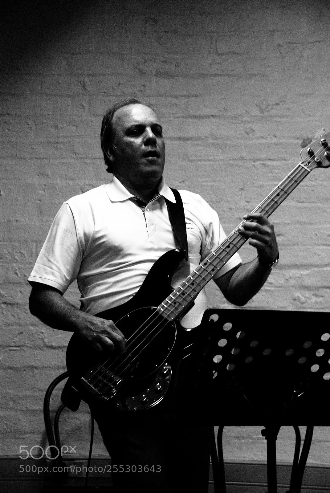 Nikon D60 sample photo. Bassist photography