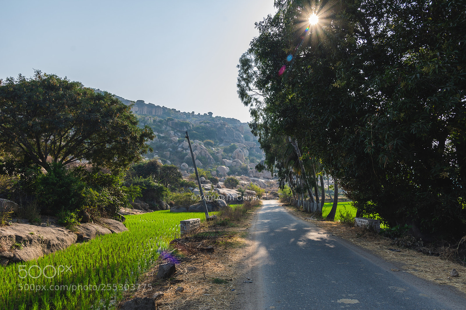 Nikon D7200 sample photo. Country roads photography