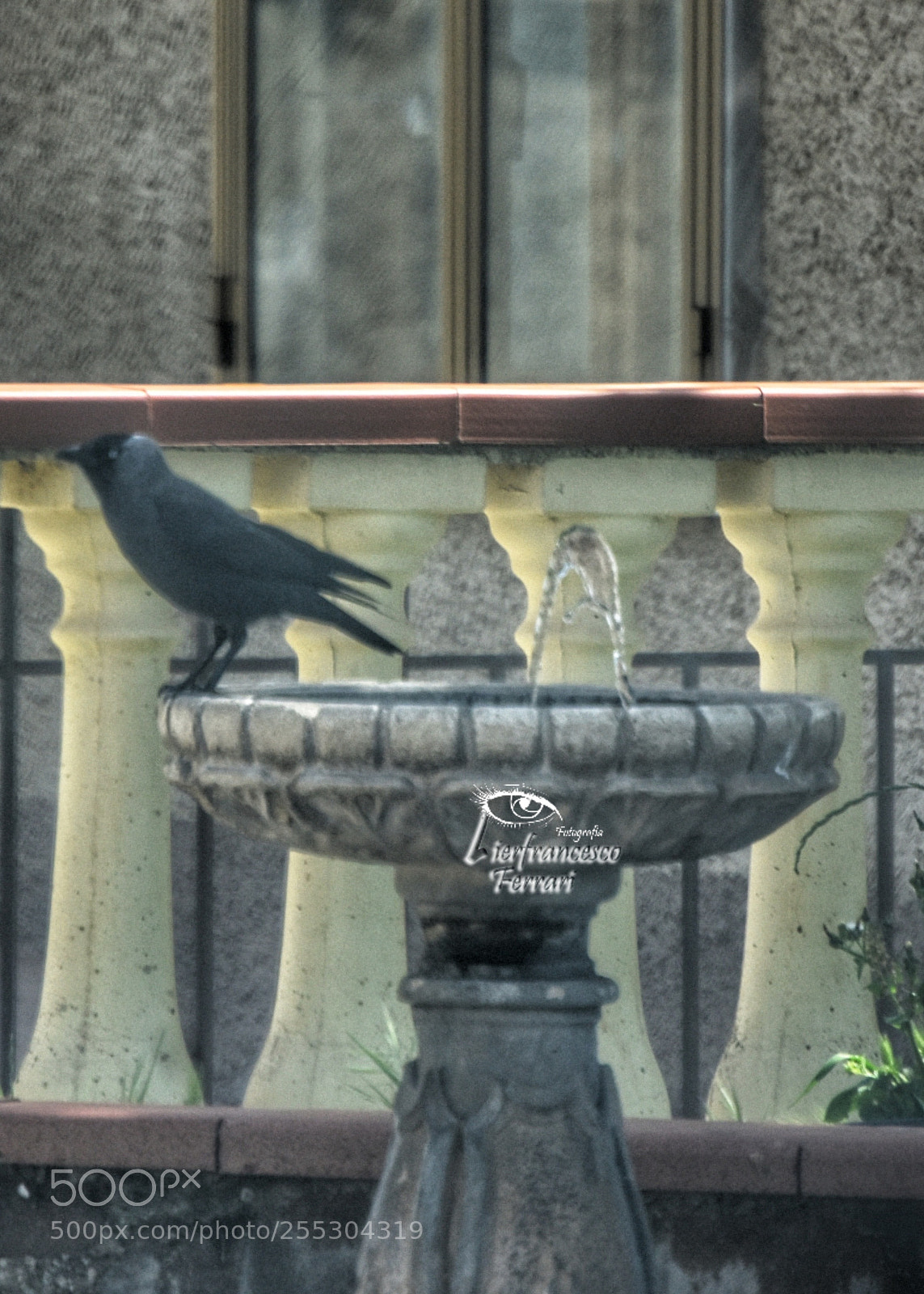 Nikon D7200 sample photo. Fontanella piazza albania frascineto photography