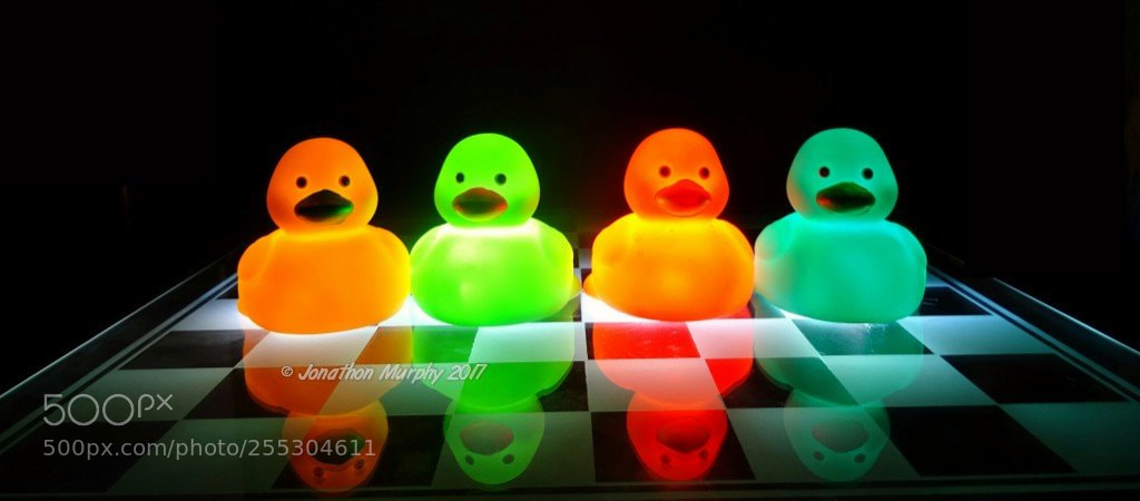 Sony DSC-HX60V sample photo. Title quack quack quack photography