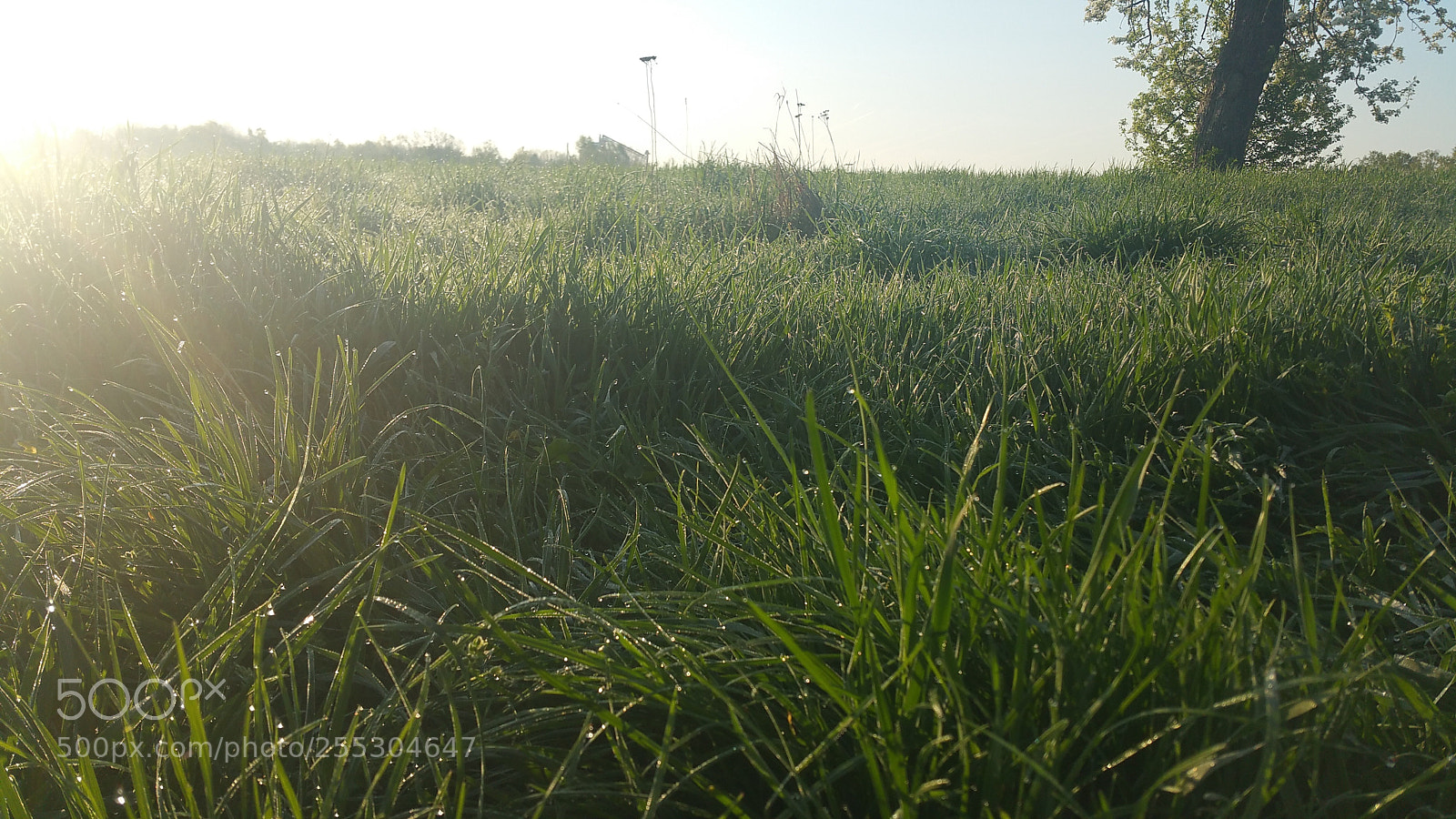 Samsung Galaxy Note4 sample photo. 6uhr morgens photography