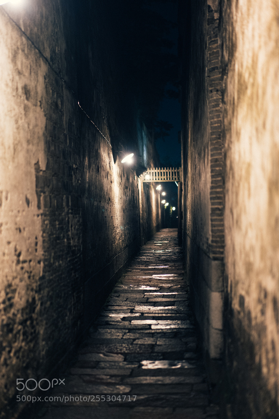 Sony a7R II sample photo. Untitled photography