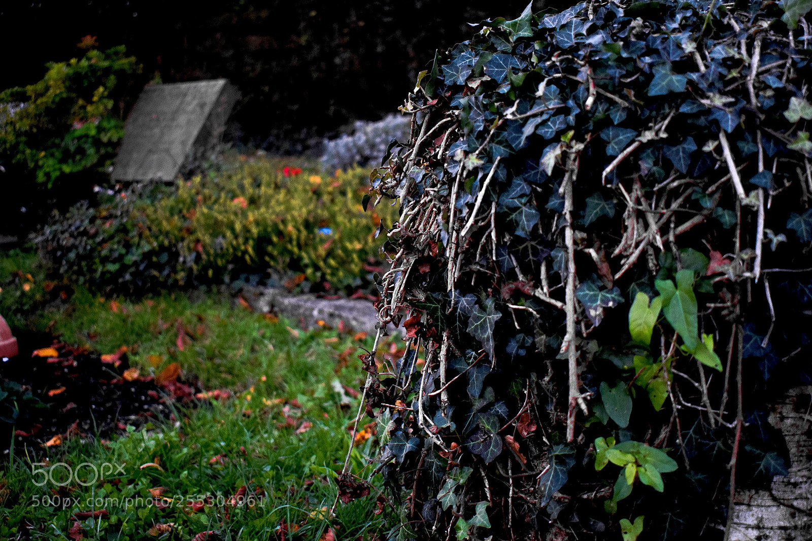Nikon D3300 sample photo. Dsc photography