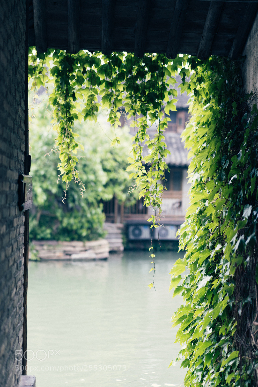Sony a7R II sample photo. Untitled photography