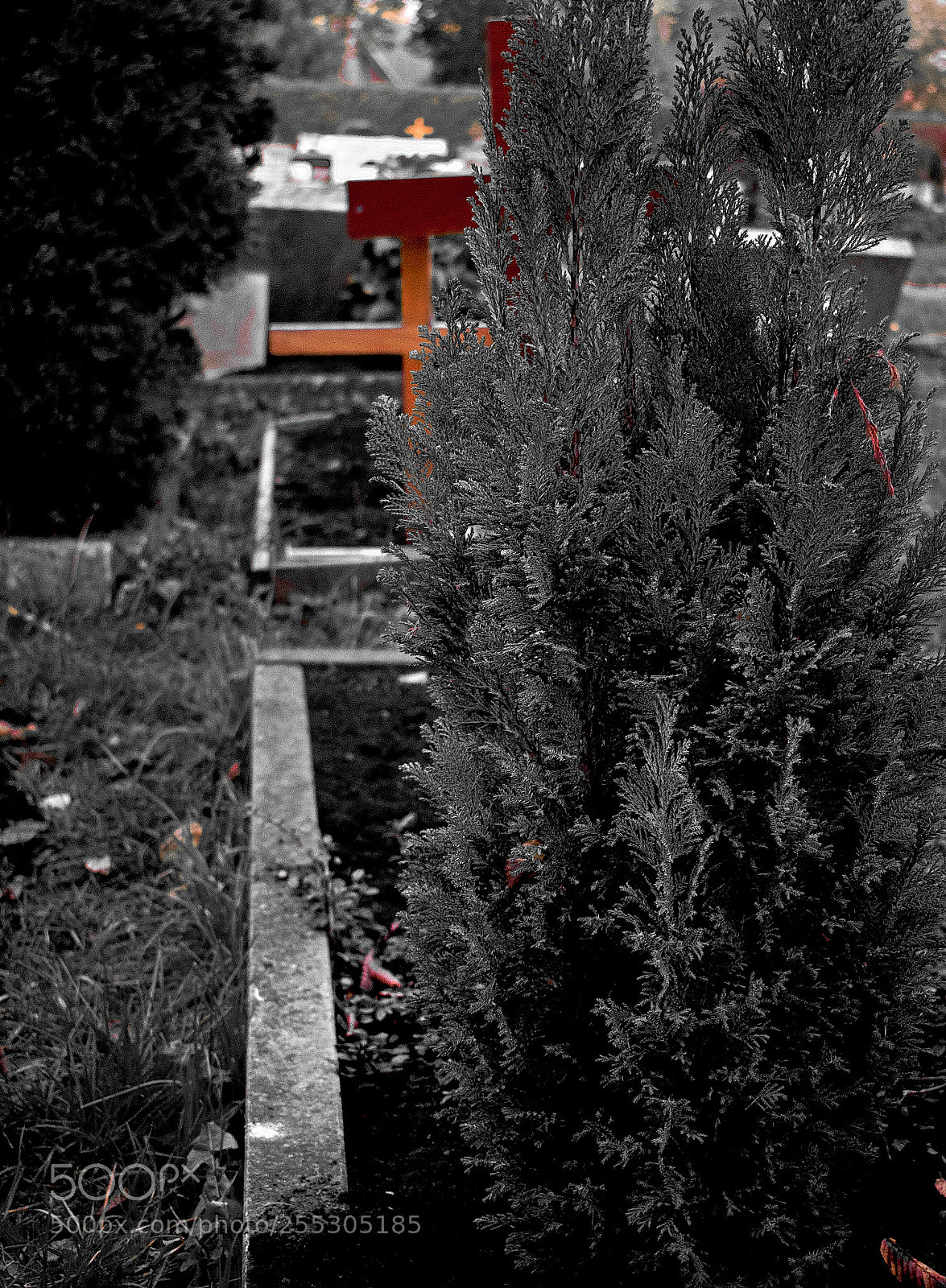 Nikon D3300 sample photo. Dsc photography