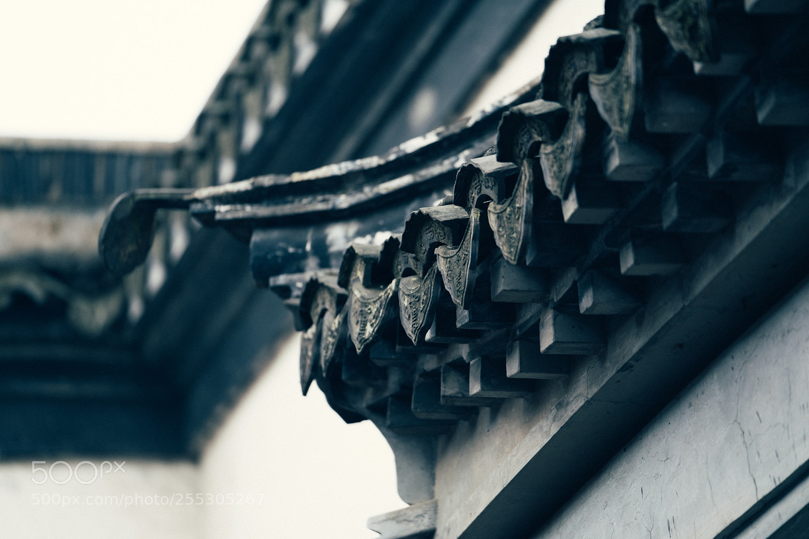 Sony a7R II sample photo. Untitled photography