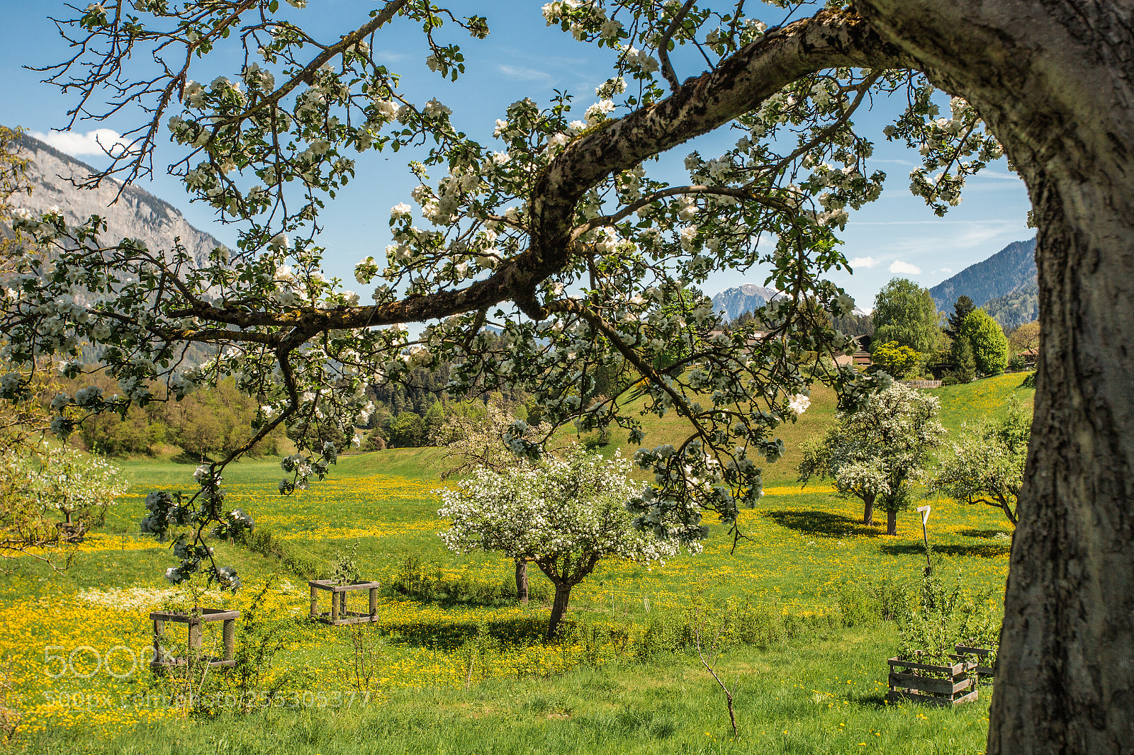 Canon EOS 6D sample photo. Springtime photography