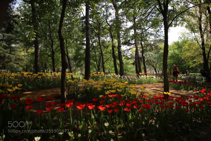Canon EOS 6D sample photo. Img photography