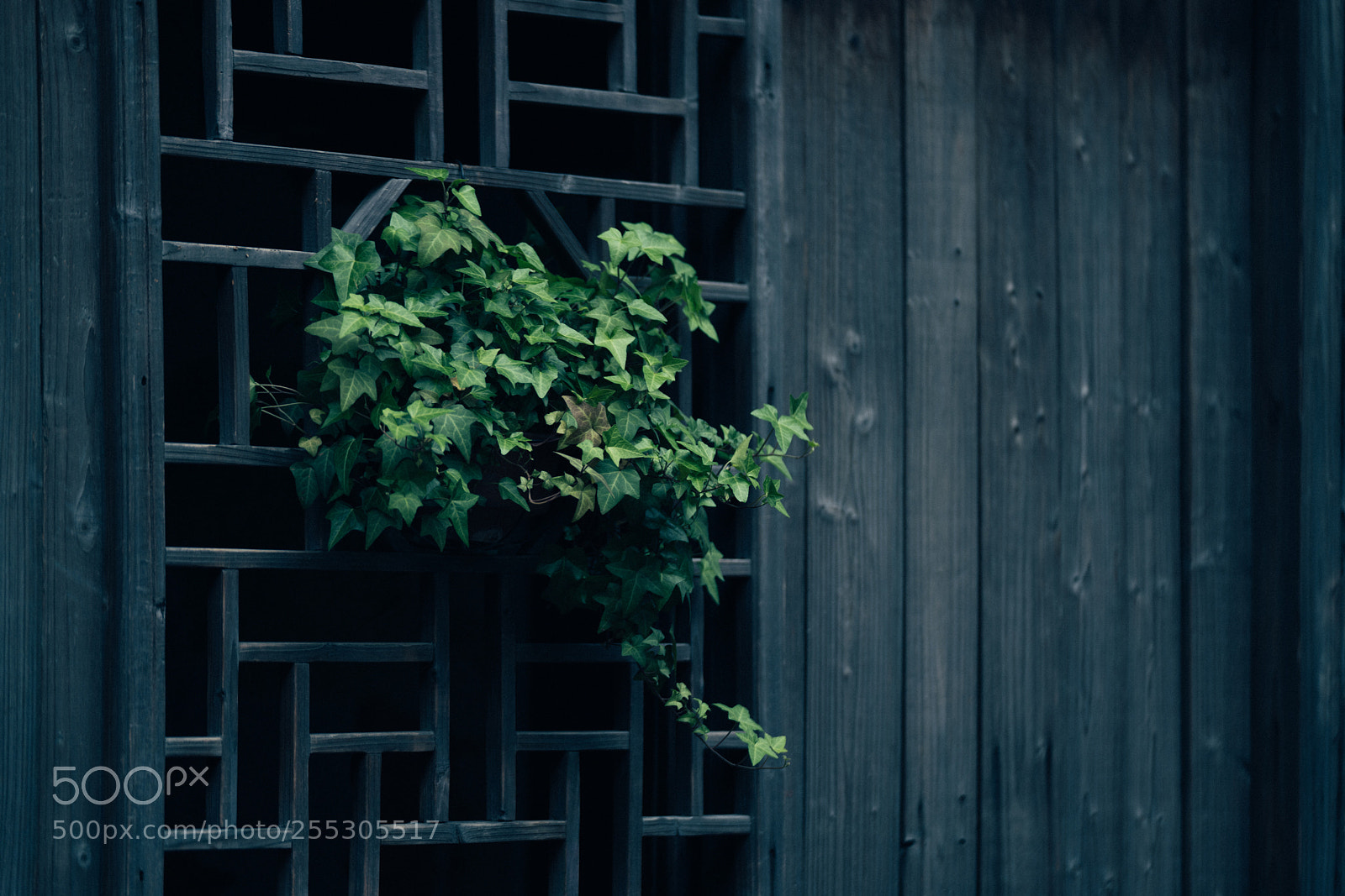Sony a7R II sample photo. Untitled photography