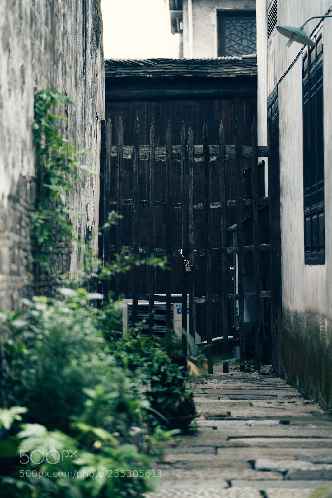 Sony a7R II sample photo. Untitled photography