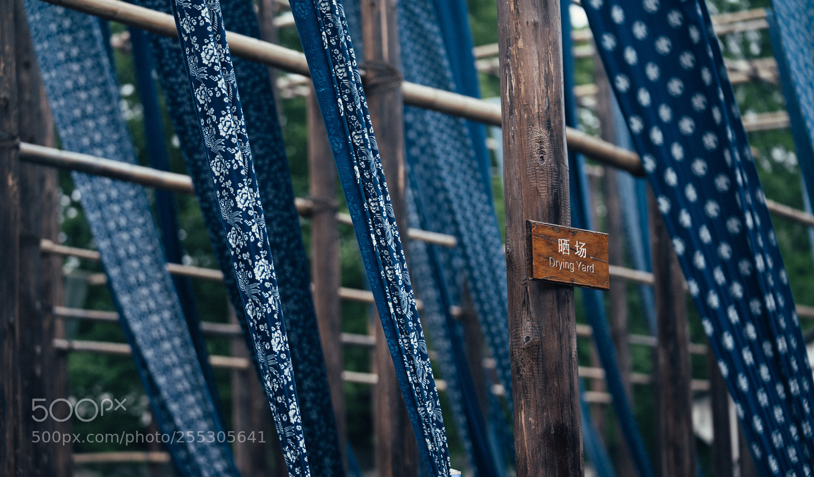 Sony a7R II sample photo. Untitled photography