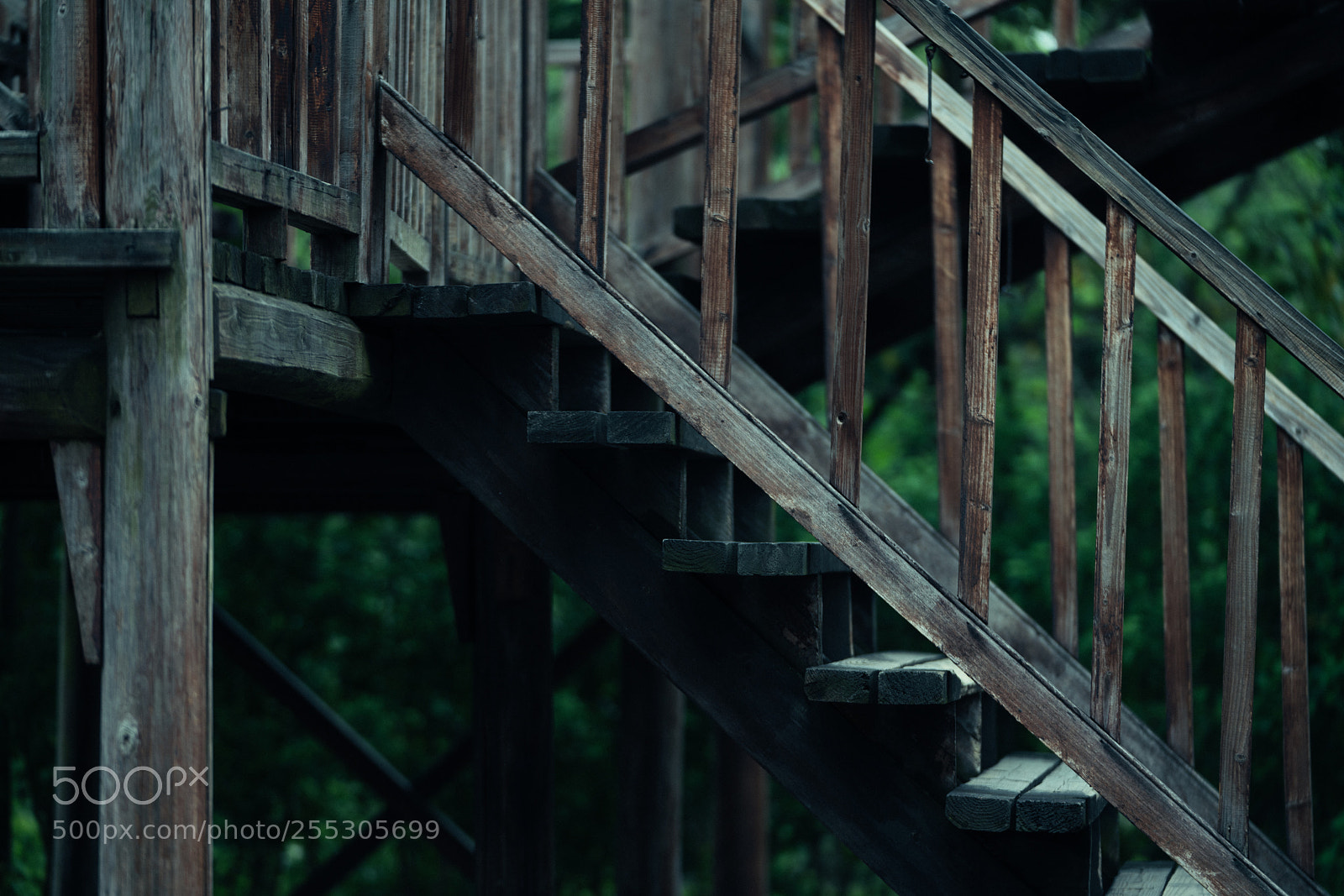 Sony a7R II sample photo. Untitled photography