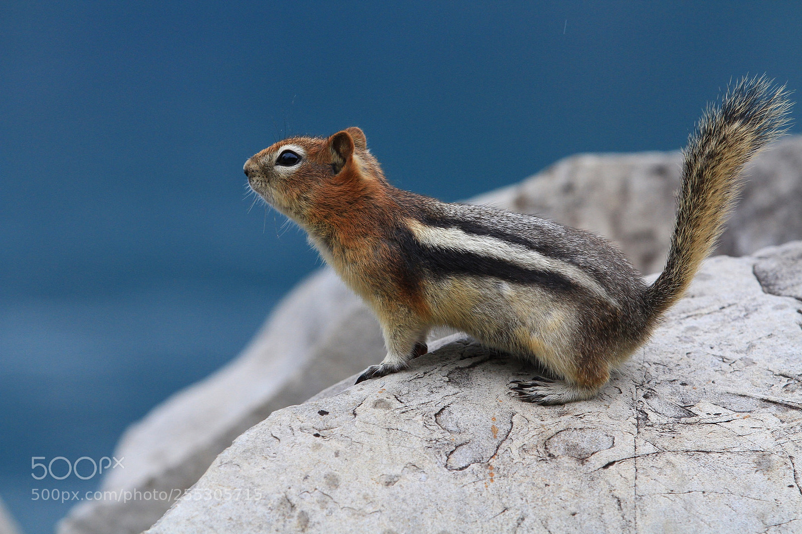 Canon EOS 7D sample photo. Untitled photography