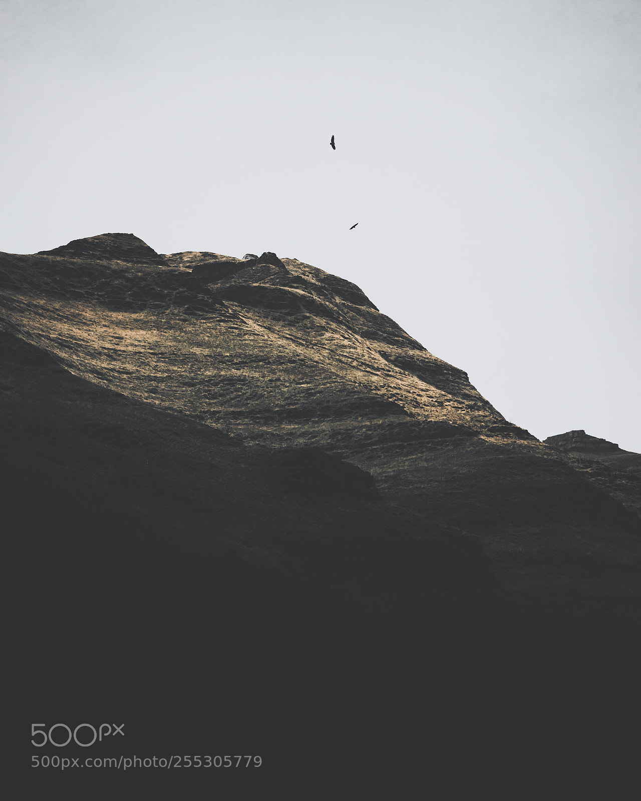 Sony a7 sample photo. Norte photography