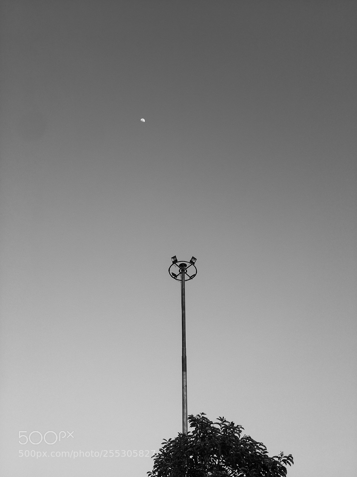 Samsung Galaxy S4 sample photo. Togetherness... photography