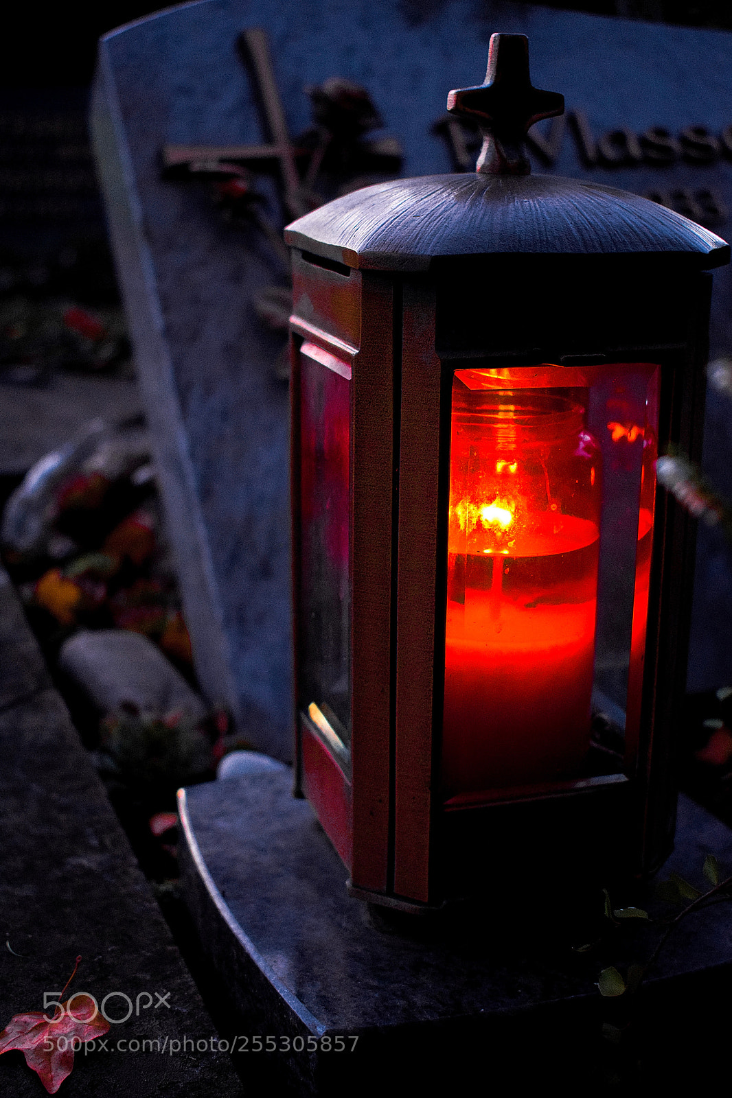 Nikon D3300 sample photo. Dsc photography
