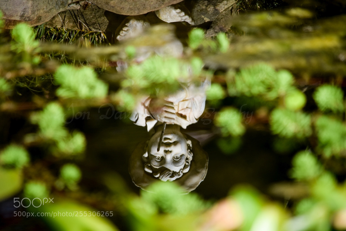Nikon D5300 sample photo. Reflections... photography