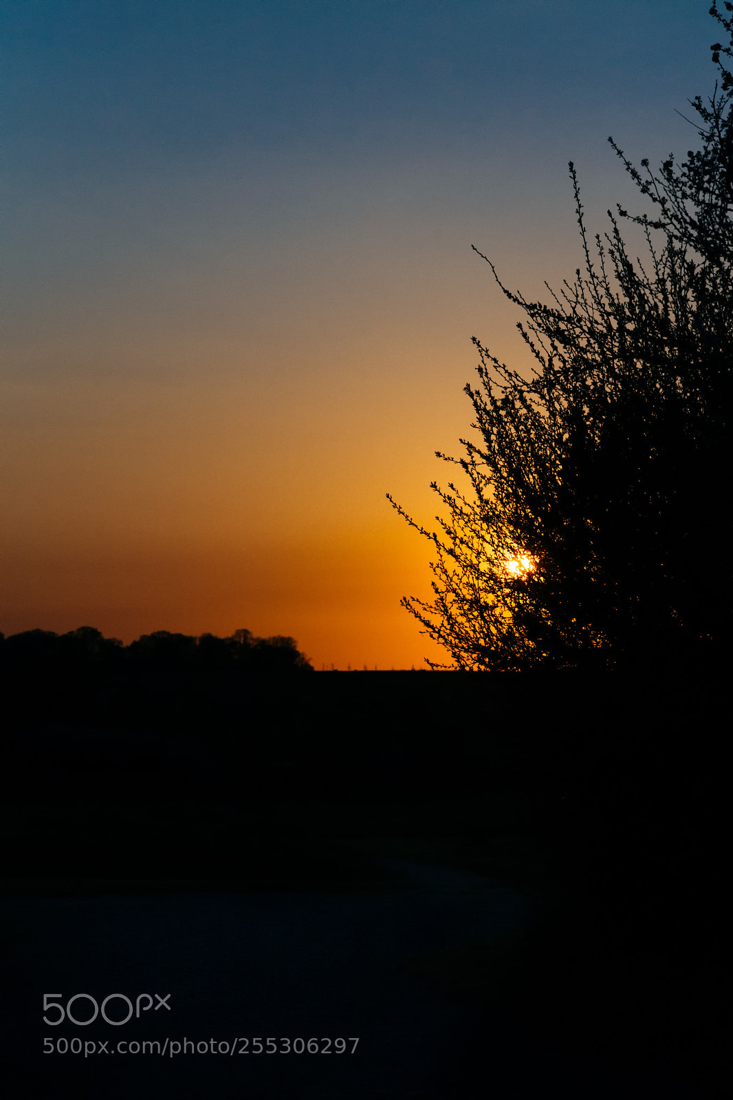 Canon EOS 5D sample photo. Transition photography
