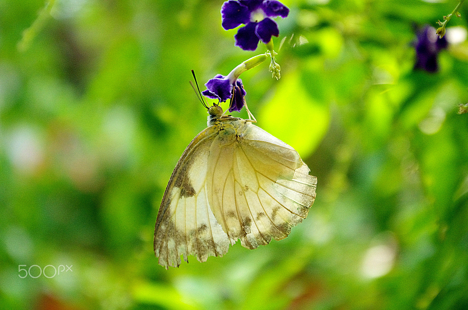 Pentax K-5 IIs sample photo. Hold on photography