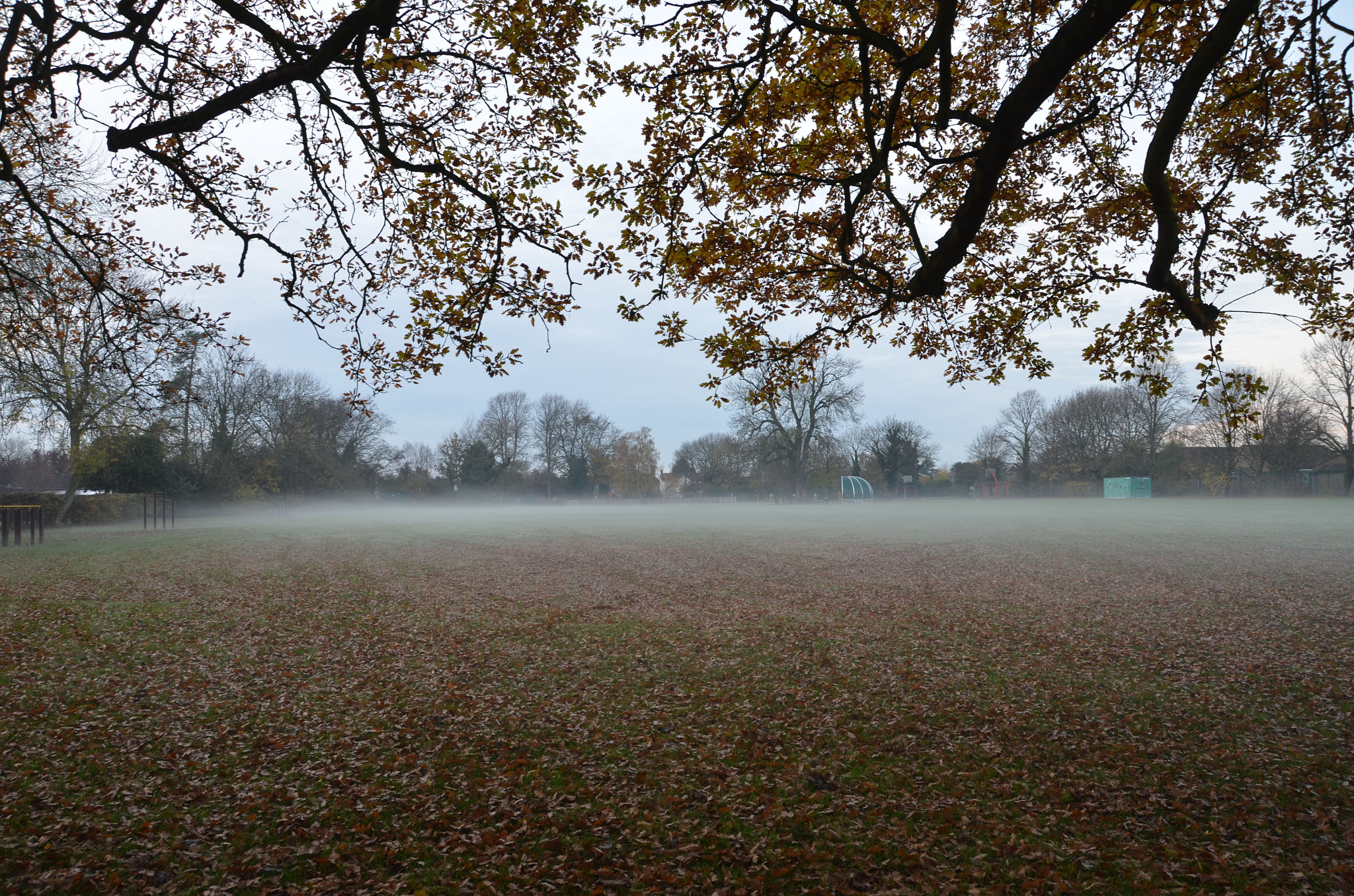 Nikon D7000 sample photo. Fog photography