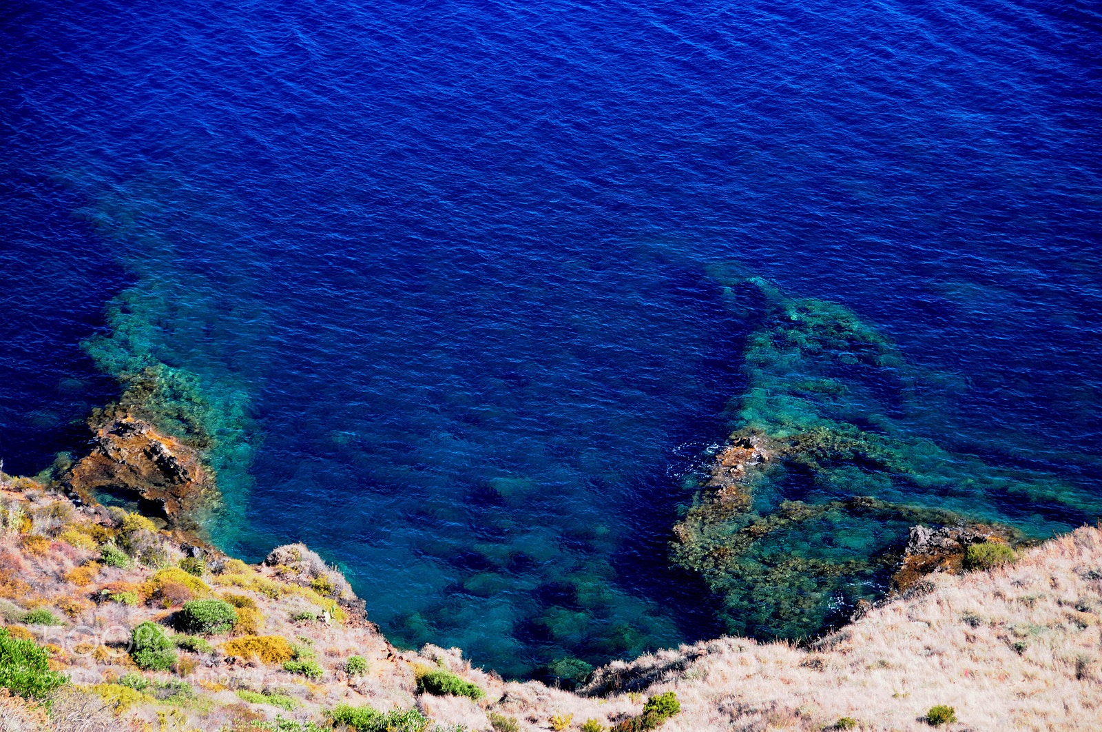 Nikon D300 sample photo. I wish a plunge photography