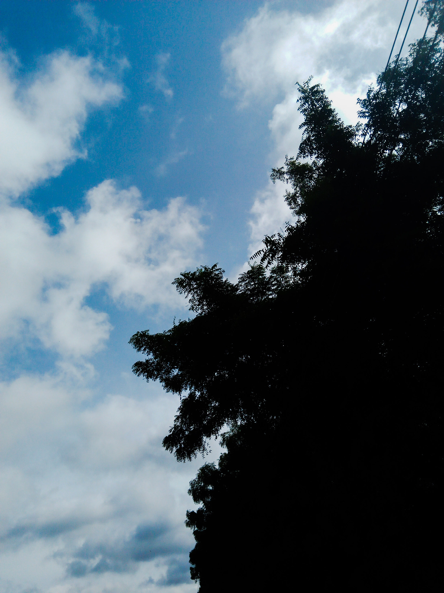 Infinix HOT5 sample photo. Morning weather photography