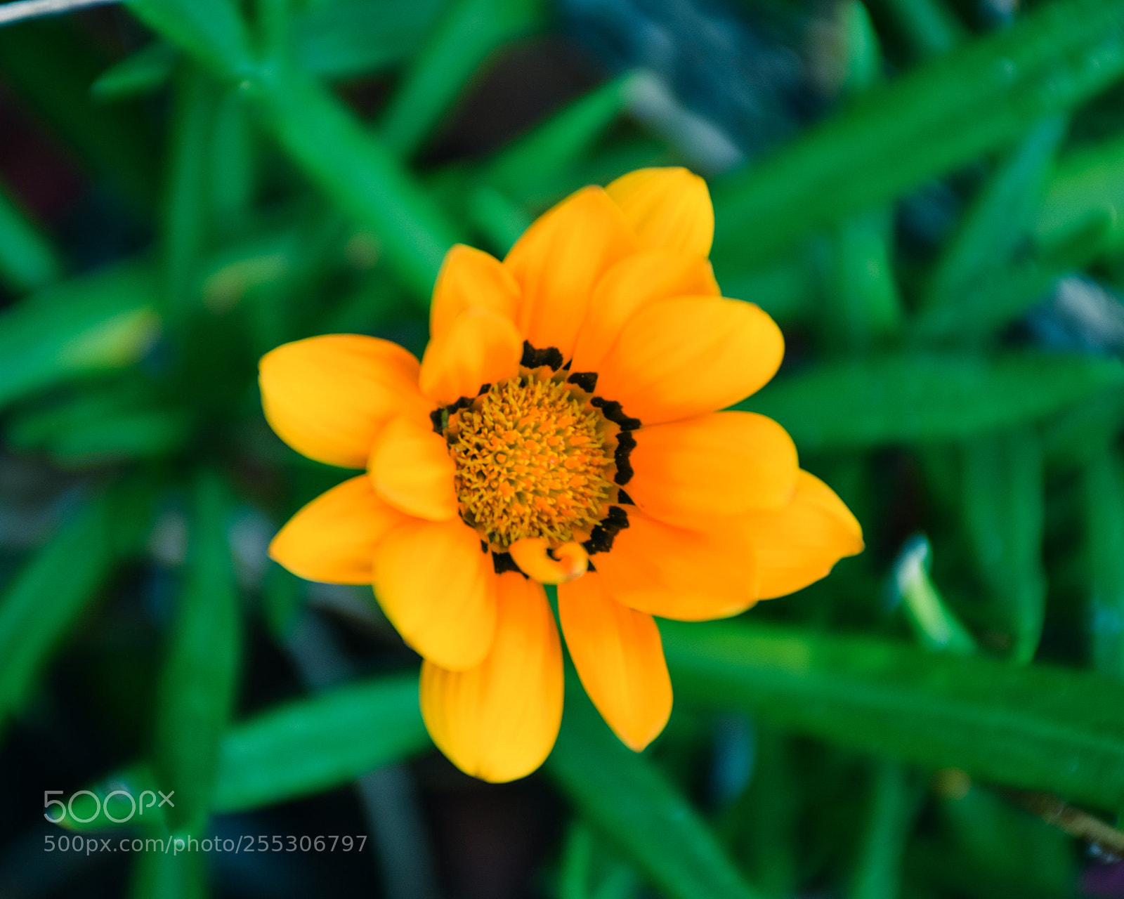 Nikon D3300 sample photo. Contrast photography