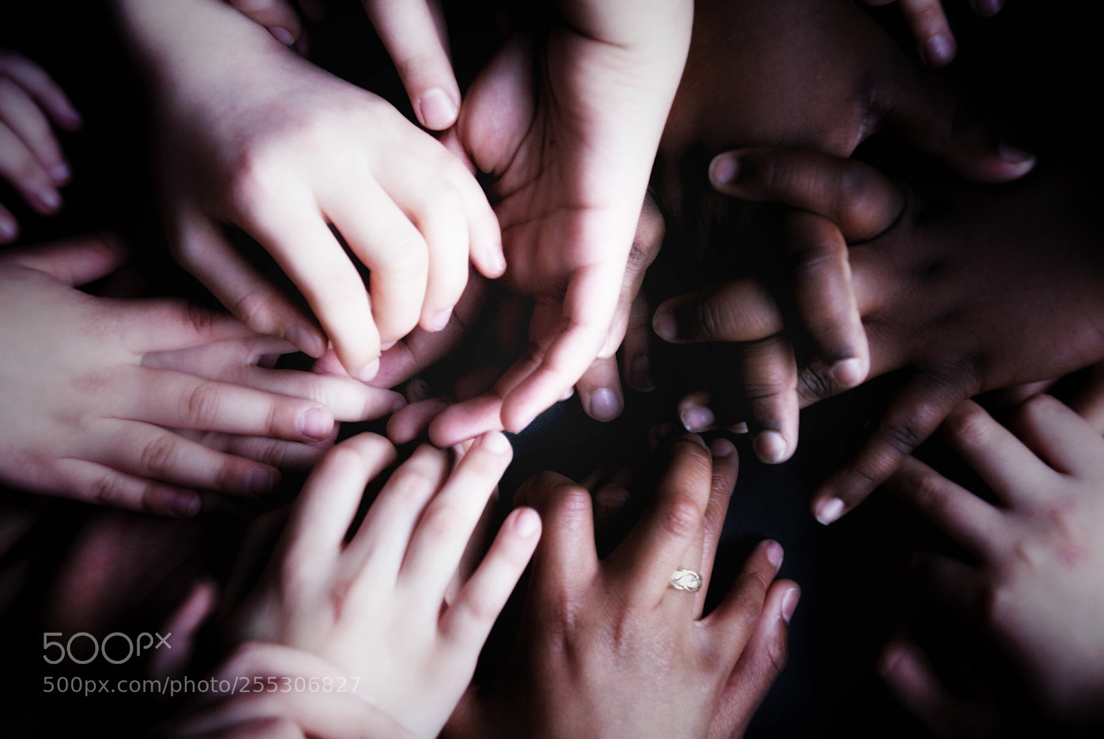 Sony Alpha DSLR-A100 sample photo. Hands photography
