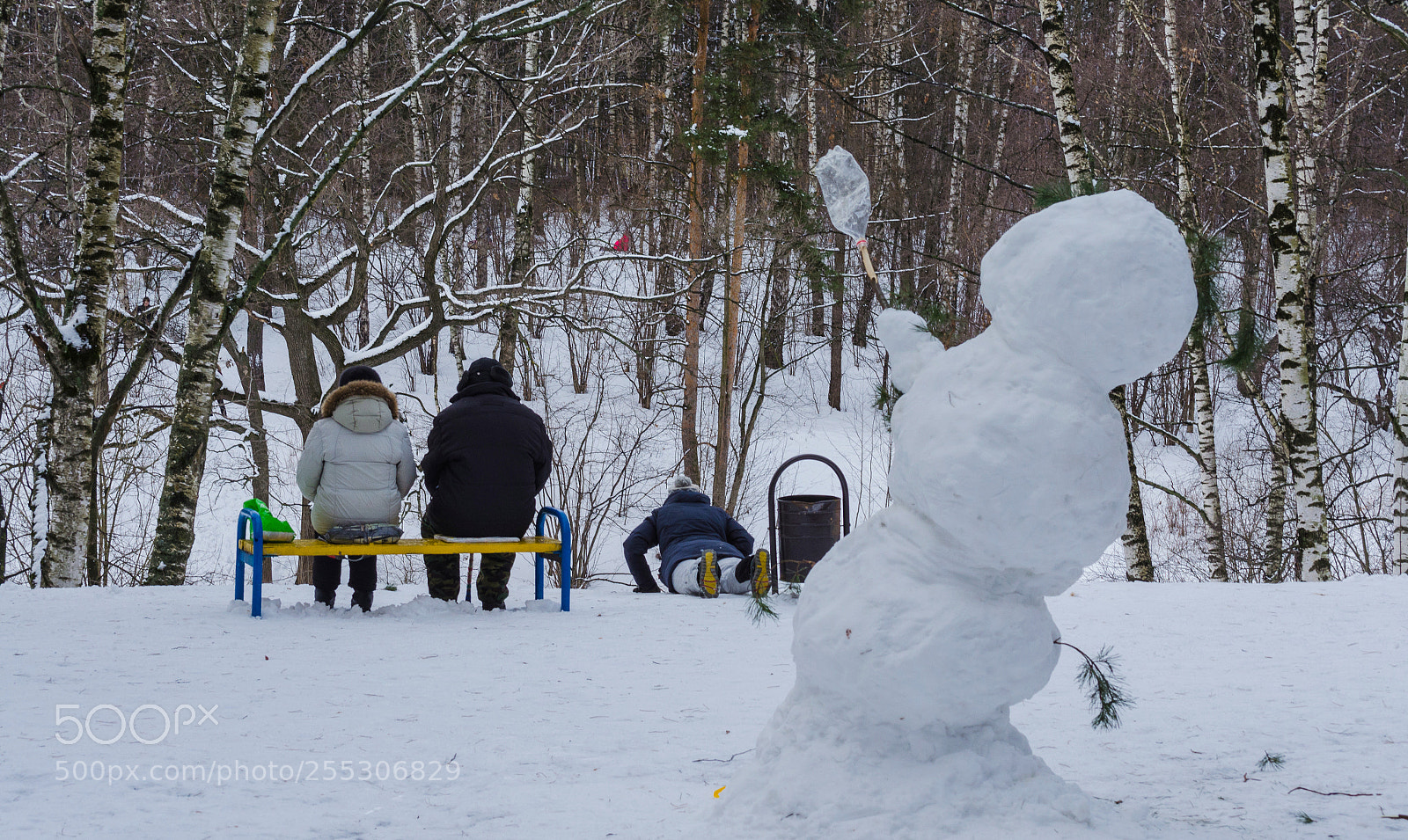 Nikon D5100 sample photo. зима photography
