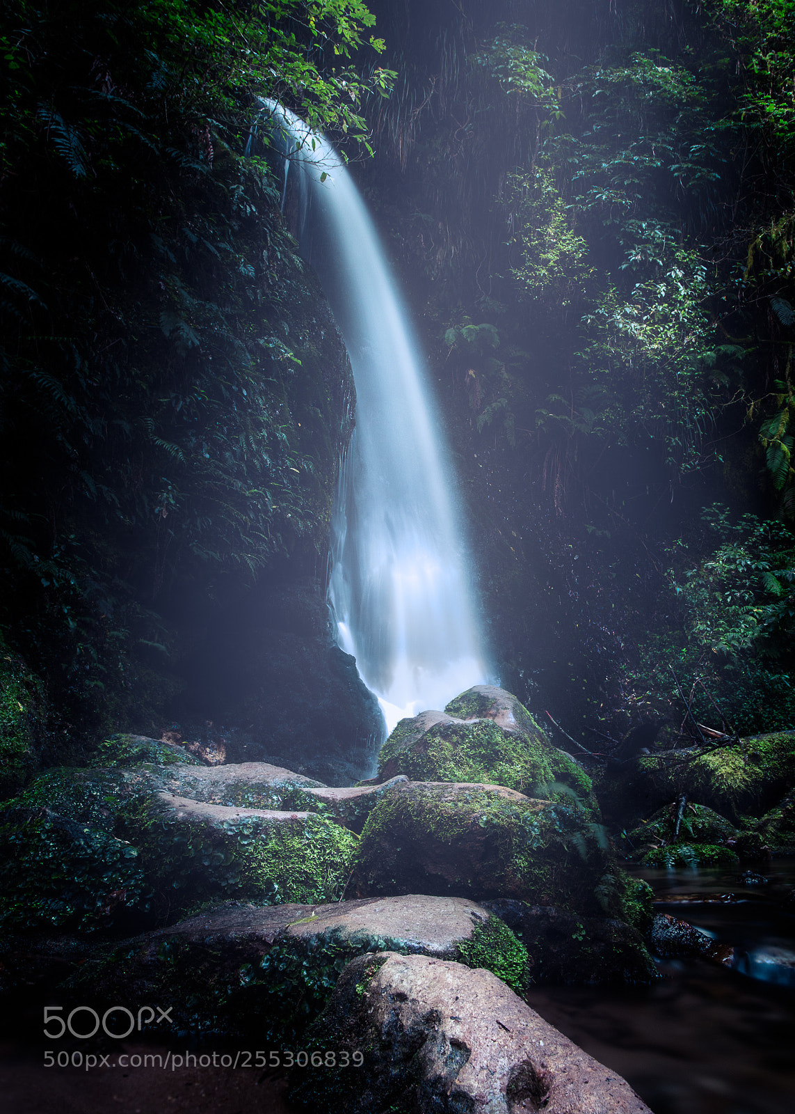 Pentax K-S2 sample photo. Mclaren falls photography