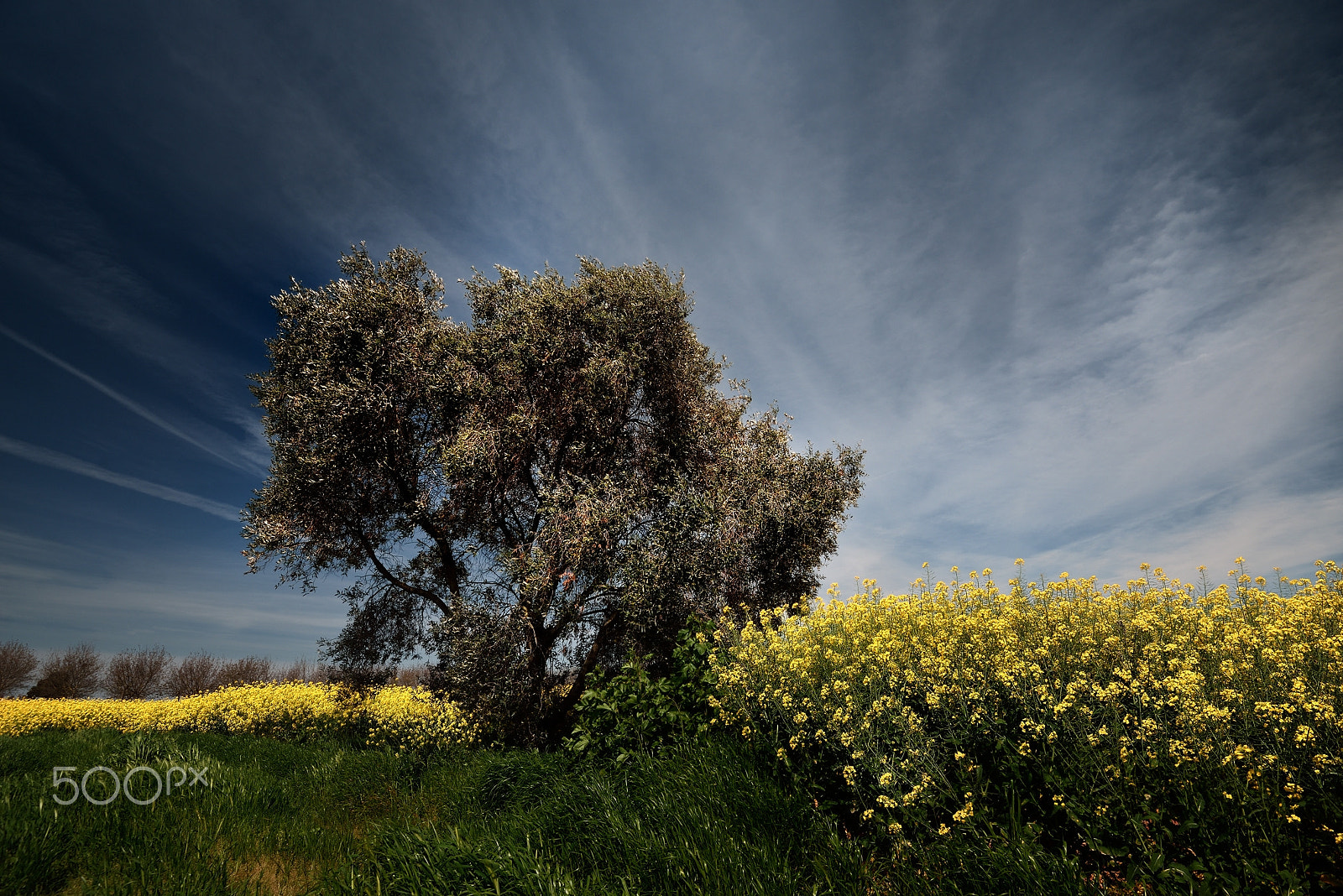 Nikon D610 + Nikon AF-S Nikkor 16-35mm F4G ED VR sample photo. April impressions photography