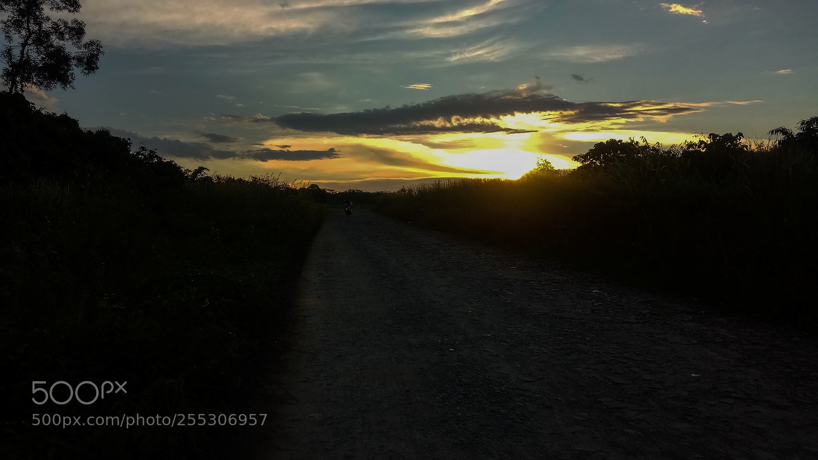 Xiaomi Redmi Note 4 sample photo. Untitled photography