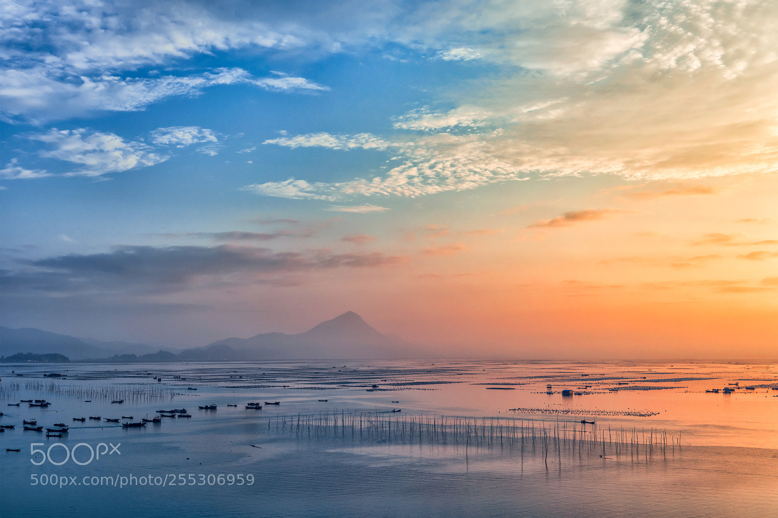 Nikon D810 sample photo. The dawn of the photography