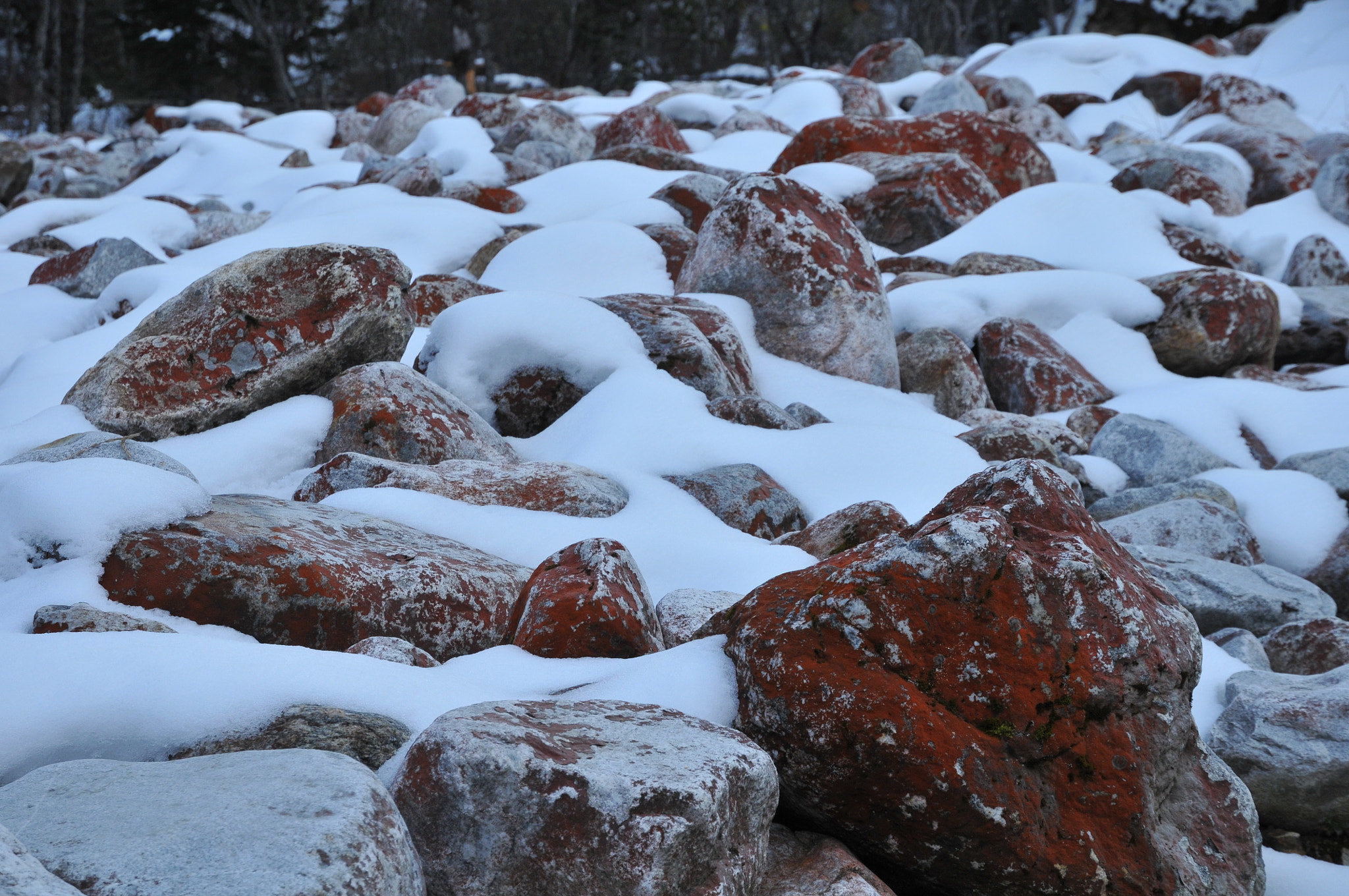 Nikon D300 sample photo