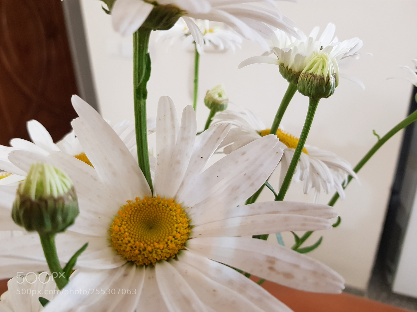 Samsung Galaxy S8 sample photo. Untitled photography