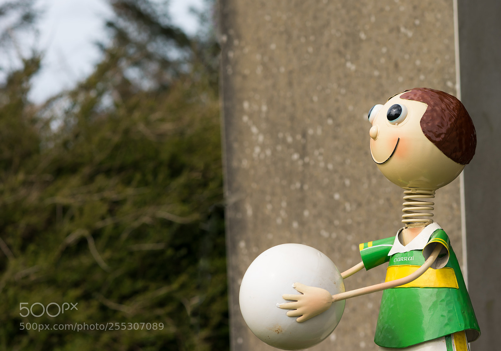 Nikon D810 sample photo. Kerry gaa boy 2 photography