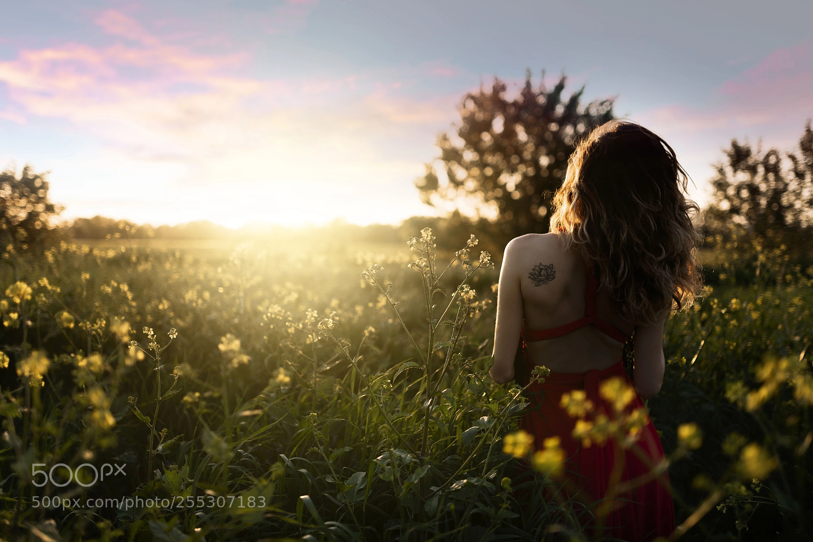 Nikon D850 sample photo. Anna photography