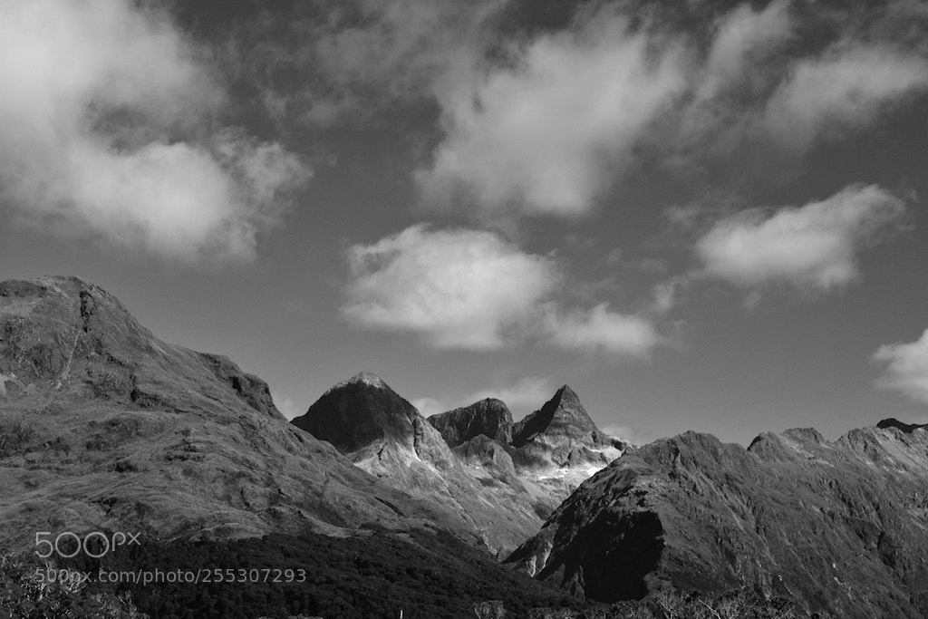 Nikon D600 sample photo. Routeburn track jagged peaks photography