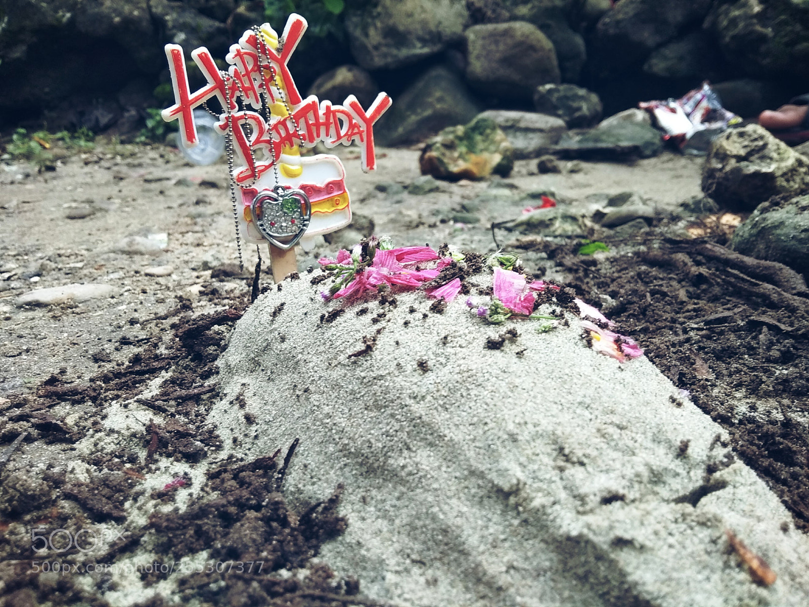 Xiaomi Redmi Note 5A sample photo. Untitled photography