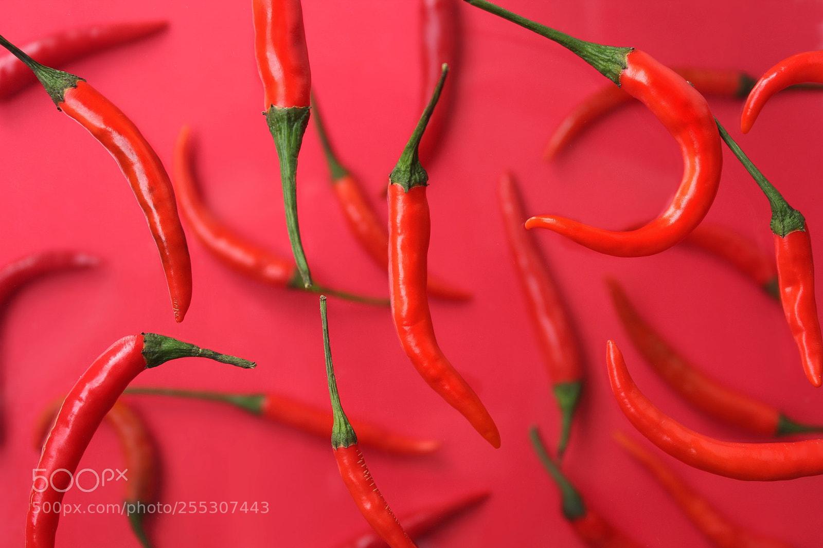 Canon EOS 1300D (EOS Rebel T6 / EOS Kiss X80) sample photo. Red chili hot on photography