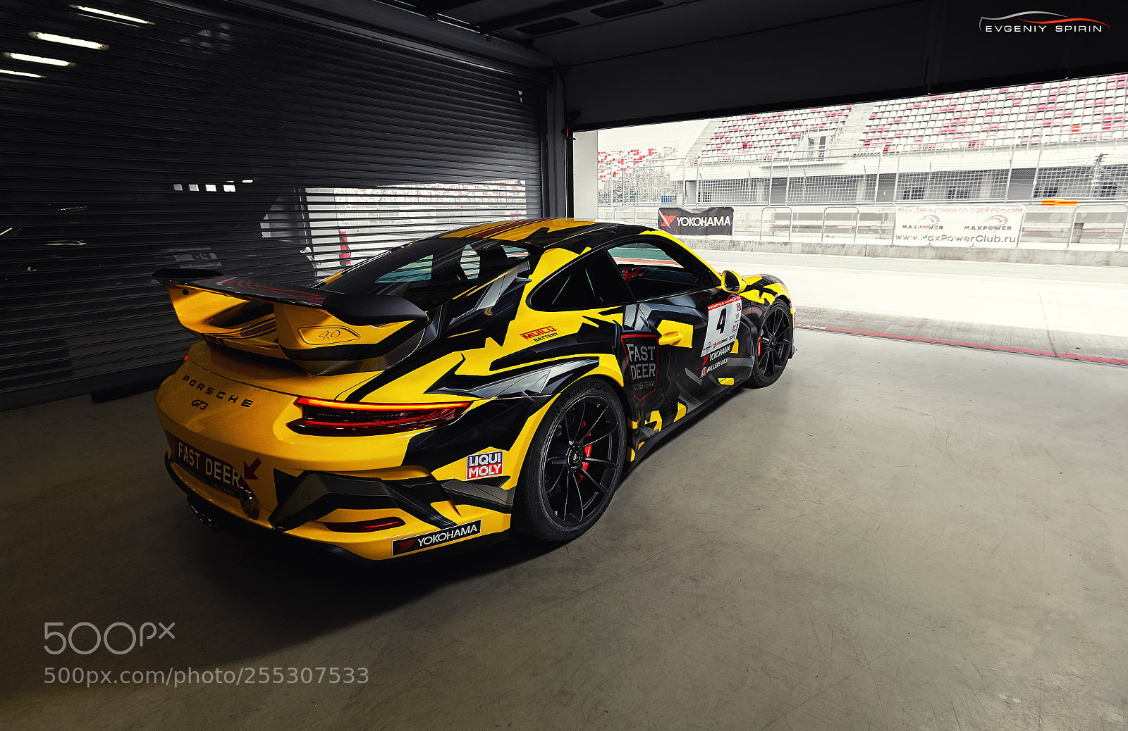 Canon EOS 5D Mark II sample photo. Porsche 991.2 gt3 fast deer photography